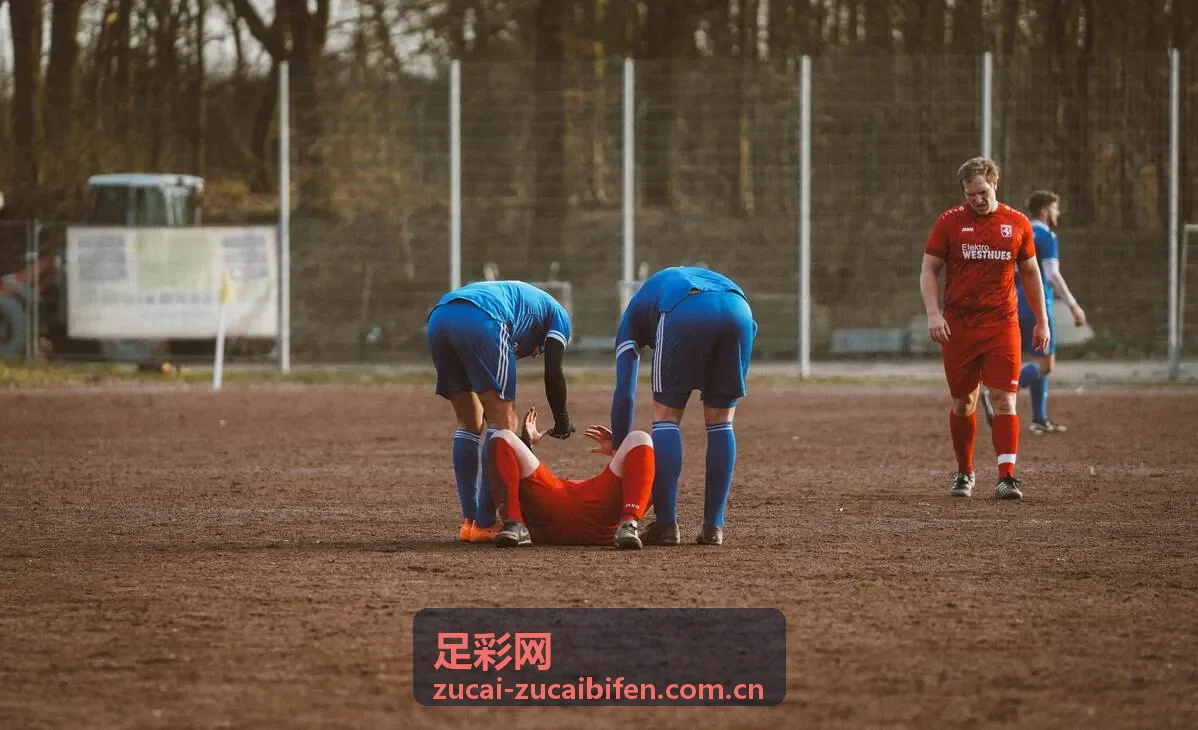 足彩网赔率分析数据面板示意图